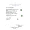 Image 5 : 1.46 ctw Tsavorite and Diamond Ring - Platinum
