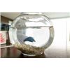 Image 3 : MY SPY SCREEN USED BETTA FISH IN BOWL DAVE BAUTISTA