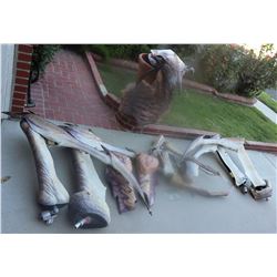 ZZ-CLEARANCE HARBINGER DOWN ALIEN CREATURE SUIT
