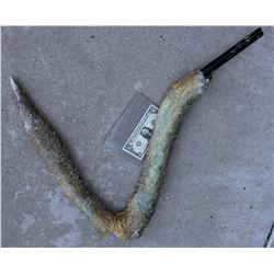 ZZ-CLEARANCE THE THING SPINE COVERED CLAW