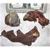 Image 1 : ZZ-CLEARANCE VIRUS LOT OF SCREEN USED GOLIATH SKULLS
