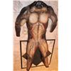 Image 1 : ALIEN VS PREDATOR SCAR BODY SUIT PAINT TEST
