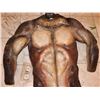 Image 3 : ALIEN VS PREDATOR SCAR BODY SUIT PAINT TEST
