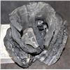 Image 1 : ALIEN VS PREDATOR SCREEN USED BLOOD ACID MELTED NECK