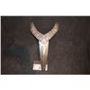Image 1 : SNOW WHITE AND THE HUNTSMAN KNIGHT ARMOR CREST LOT 6