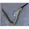 Image 1 : ZZ-CLEARANCE THE THING SPINE COVERED CLAW
