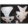 Image 1 : ENDER'S GAME CHEST AND BACK ARMOR MASTERS