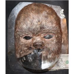 STAR WARS EWOK LIKE FACIAL APPLIANCE