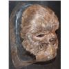 Image 2 : STAR WARS EWOK LIKE FACIAL APPLIANCE