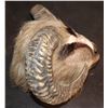 Image 2 : NARNIA SCREEN USED RAM WARRIOR FULL HEAD MASK