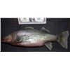 Image 1 : THE WAR WITH GRANDPA SCREEN USED SILICONE BASS FISH