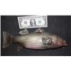 Image 2 : THE WAR WITH GRANDPA SCREEN USED SILICONE BASS FISH
