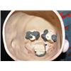 Image 8 : CULT OF CHUCKY SCREEN MATCHED ONE ARM HERO PUPPET HOLDING WORKING HERO DRILL