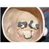 Image 8 : CULT OF CHUCKY SCREEN MATCHED ONE ARM HERO PUPPET HOLDING WORKING HERO DRILL