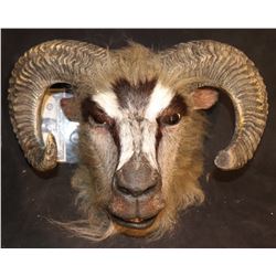 THE CHROCICLES OF NARNIA SCREEN MATCHED RAM WARRIOR FULL HEAD MASK