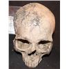 Image 1 : TERMINATOR 2 JUDGEMENT DAY SCREEN USED FUTURE WAR SKULL