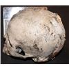Image 2 : TERMINATOR 2 JUDGEMENT DAY SCREEN USED FUTURE WAR SKULL