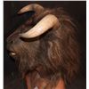 Image 2 : THE CHRONICLES OF NARNIA PRINCE CASPIAN MINOTAUR WARRIOR SCREEN USED HEAD