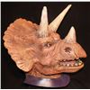 Image 1 : TRICERATOPS FULL HEAD MASK INDUSTRIAL STRENGTH AND MASCOT QUALITY!