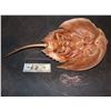 Image 2 : HORSESHOE CRAB WALKING RIG WITH WIRE