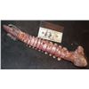 Image 3 : ALIEN FISH CREATURE WITH EYE GOUGED OUT SOLID SILICONE