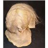 Image 2 : THE FUNHOUSE FULL HEAD APPLIANCE WITH EYES TEETH AND HAIR