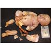 Image 3 : MUTANT ALIEN SILICONE CREATURE BABY LOT OF 2