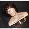 Image 2 : SEVERED SCALP SILICONE HEAD FULL BUST WITH GORE AND BLOOD RIGS INTACT