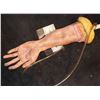 Image 2 : SEVERED SILICONE BROKEN ARM WITH BLOOD RIG