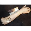 Image 1 : SEVERED SILICONE ARM WITH SOLID FINGERS
