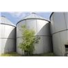 Image 1 : 2 RING TANKER ON CONCRETE (CONVERTED TO GRAIN BINS)