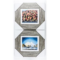 Lot (2) Group of Seven Studio Litho Panels. Gallery Framed and Limited Edition. Approx. 12x12" Eac