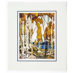 Tom Thomson (1877-1917) Litho 'Birches' Rare number 1975 10x13 Matted