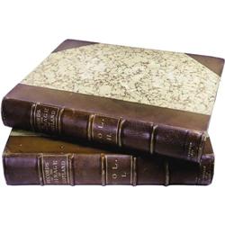 A two volume set of Victorian era books 