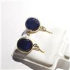 Image 1 : 10K YELLOW GOLD SAPPHIRE(5.1CT)  EARRINGS