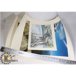 (2) ALBERTA GOVERNMENT 48 X 60 CM PRINTS OF