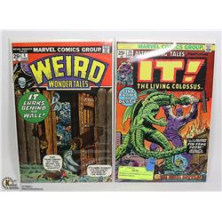 WEIRD # 4 ASTONISHING TALES # 24 HORROR COMICS