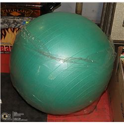 GAIAM 65 CM WORKOUT BALANCE BALL