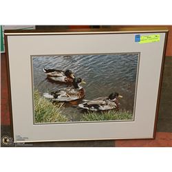 FRAMED ART - " DUCKS ON POND"