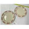 Image 1 : 2 Mayer China Hotel Ware Plates 30's 40's