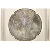 Image 1 : 2013 AMERICAN SILVER EAGLE NGC MS70 1ST RELEASES
