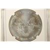 Image 2 : 2013 AMERICAN SILVER EAGLE NGC MS70 1ST RELEASES