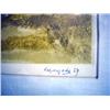 Image 3 : A FRAMED COLOR AQUATINT
