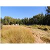 Image 24 : RESIDENTIAL ACREAGE: NW 9-79-12-W6