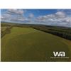 Image 4 : FARMLAND: NW 9-79-12-W6