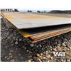Image 3 : (UNUSED) (5) 5/16 4 X 8 FT. STEEL PLATE SHEETS