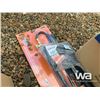 Image 3 : (10) 2" X 20 FT. RATCHET STRAPS