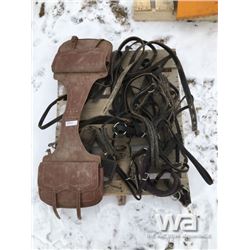 SADDLE BAGS & HARNESS