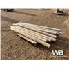 Image 2 : (10) FENCE POSTS
