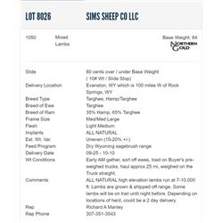 Sims Sheep Co LLC - 1050 Mixed Lambs (NOT WEANED)